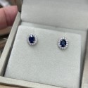 925 Silver sapphire earrings GSS091