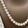 925 Silver Akoya pearl Necklace SN5898