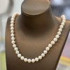 925 Silver Fresh Water Pearl necklace SN5937