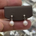 18K Gold AKoya pearl Earrings SEP927